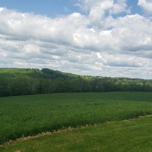 Meet your Posher, Kaylie